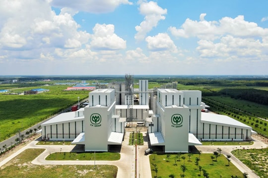 Tổ hợp nhà máy CPV Food Bình Phước hướng tới mục tiêu nâng giá trị xuất khẩu lên đến 200 triệu USD