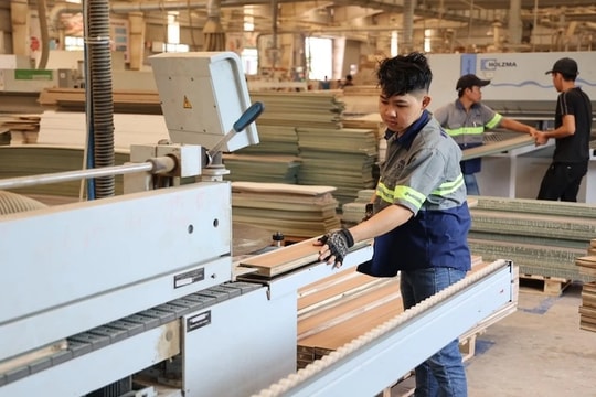 Phát triển thị trường carbon cho ngành gỗ