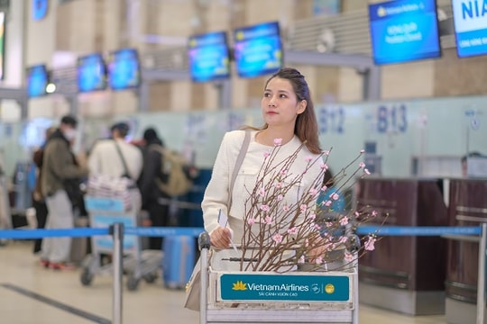 Vietnam Airlines vận chuyển cành đào và mai