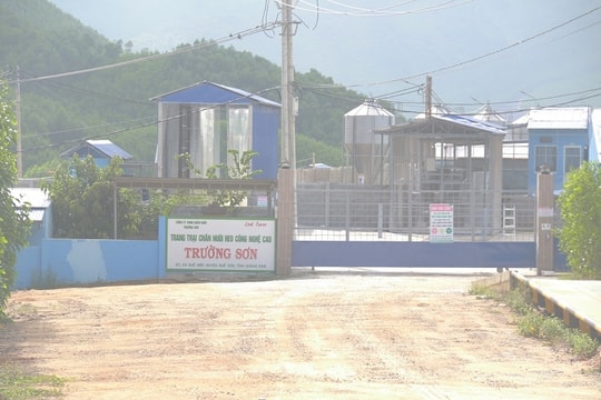 Quảng Nam chấn chỉnh tình trạng ô nhiễm môi trường của một doanh nghiệp chăn nuôi