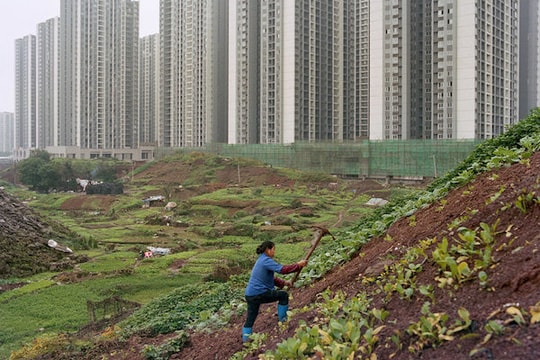 Nước mắt an cư