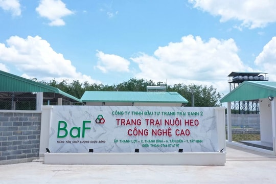 BAF: Động lực tăng trưởng doanh thu năm 2024 đến từ mảng 3F