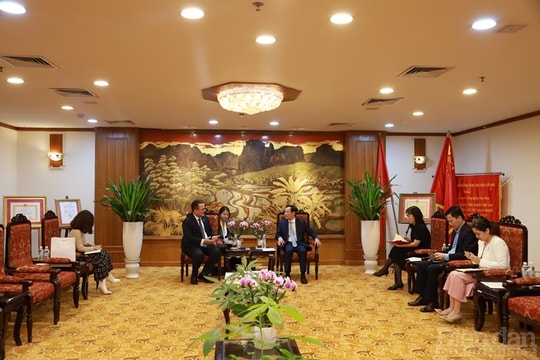 Khai mở tiềm năng hợp tác doanh nghiệp Việt Nam - Dominica