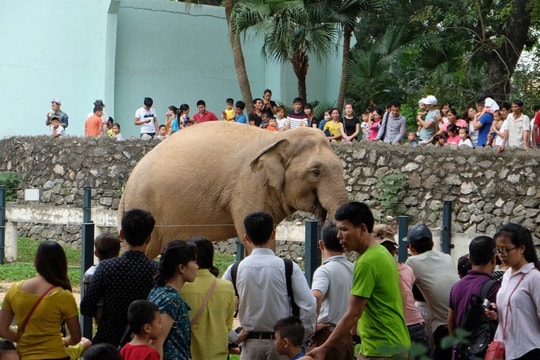 Nâng cao hiệu quả của các chỉ tiêu thống kê du lịch