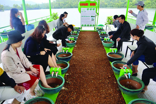 Mở rộng dư địa du lịch sức khỏe tại Quảng Nam