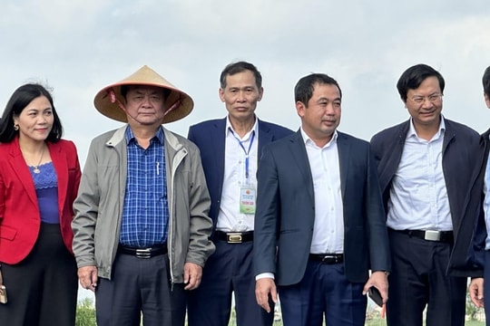 Hải Dương: Đặc sắc Lễ hội hành, tỏi Kinh Môn
