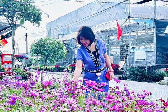 Quảng Ninh: Các làng hoa hối hả vào vụ Tết