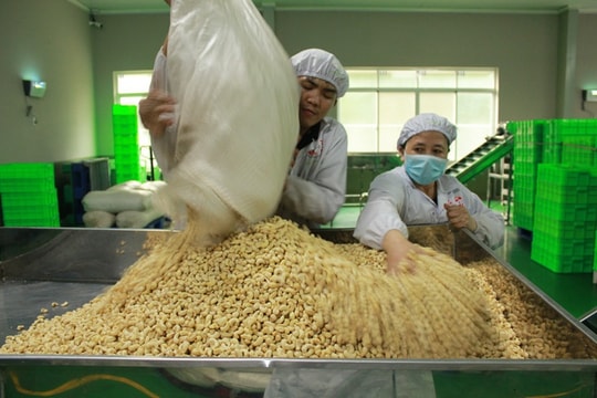 Doanh nghiệp cần biết “tự vệ” và thận trọng trước rủi ro xuất khẩu