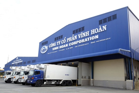 Lợi nhuận của VHC sụt giảm mạnh do đâu?