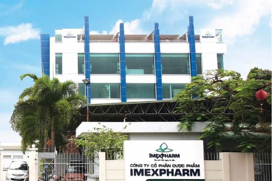 IMP: Kỳ vọng vào kênh ETC trong năm 2024