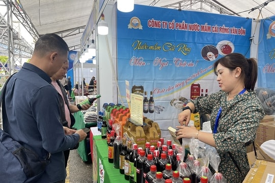 Quảng Ninh: Xây dựng cộng đồng doanh nghiệp phát triển bền vững