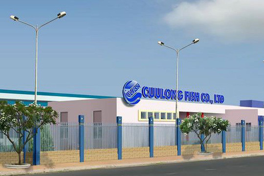 Chi phí tăng cao “ăn mòn” lợi nhuận của ACL