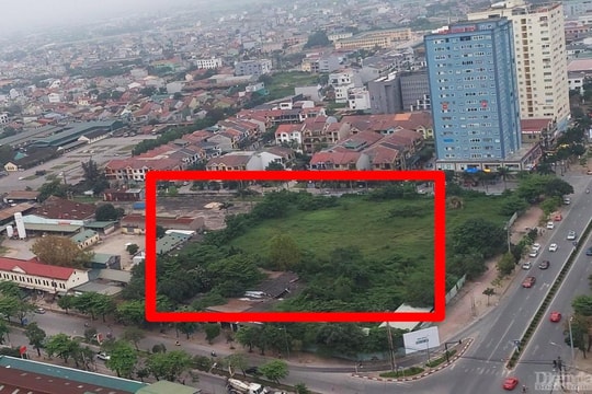 Đánh giá “sức khỏe” doanh nghiệp ở Nghệ An qua góc nhìn nợ thuế