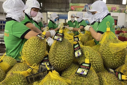 Dư địa rất lớn cho tăng trưởng xuất khẩu hàng hoá Việt Nam vào Trung Quốc