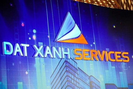 DXS thua lỗ năm đầu tiên kể từ khi lên sàn