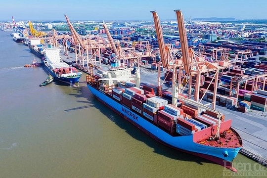 Hải Phòng: Đôn đốc chống thất thu phí sử dụng hạ tầng khu vực cửa khẩu cảng biển