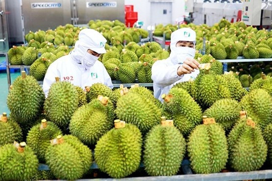 Rộng mở cơ hội xuất khẩu trực tuyến cho doanh nghiệp Việt Nam