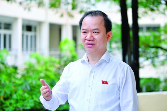 Hệ văn hóa tết