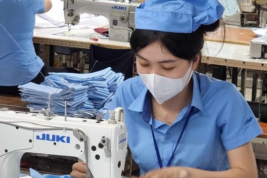 Lương tối thiểu vùng 2024: Chính thức đề xuất Chính phủ điều chỉnh tăng 6%