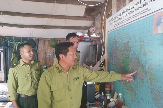 [CẢM XÚC XUÂN] Tết ở Trạm kiểm lâm Giỏ Cùng