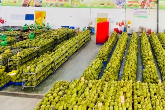 Thủ tướng yêu cầu tăng cường kết nối logistics cho nông sản