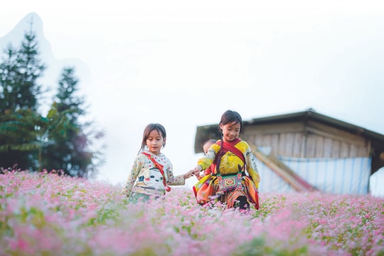 Miền đá nở hoa Suôi Thầu