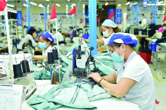 Tiếp sức doanh nghiệp chuẩn bị kịch bản cho các "cú sốc"