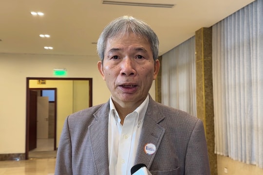 Chuẩn hoá Chứng chỉ rừng bền vững: Đột phá phát triển cho doanh nghiệp