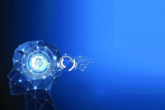 Tối ưu hóa quản trị nguồn nhân lực