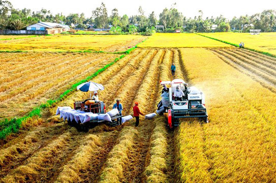 Các nút thắt thể chế, quản trị và liên kết vùng: Câu chuyện phát triển doanh nghiệp