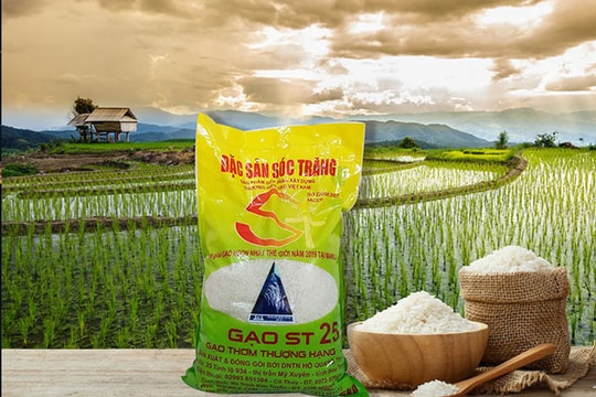 Các nút thắt thể chế, quản trị và liên kết vùng: Những khuyến nghị xây dựng Thương hiệu vùng ĐBSCL