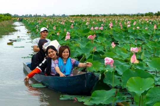 Các nút thắt thể chế, quản trị và liên kết vùng: Đề xuất 8 hình thức liên kết phát triển du lịch ở ĐBSCL