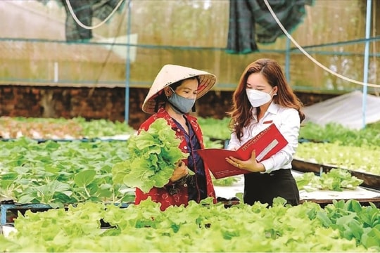 Thanh toán một chạm - Giải pháp tạo nhiều "cánh đồng không dấu chân"