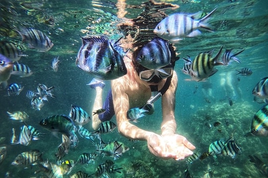 Quảng Ninh: Kỳ vọng vào những sản phẩm mới