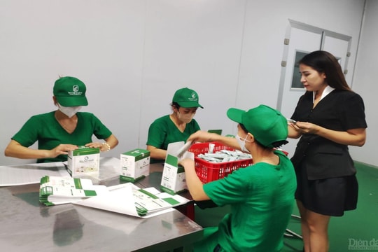 Lối đi nào cho doanh nghiệp nhỏ và siêu nhỏ ở Nghệ An?