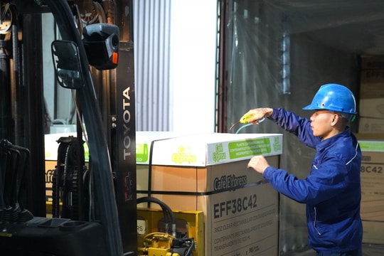 Cú bắt tay giữa An Trung Industries và hãng bán lẻ khổng lồ Costco