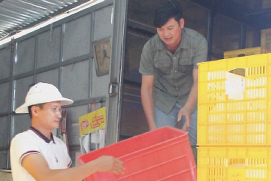 Câu chuyện khởi nghiệp của chàng trai Mai Đức Anh và khối tài sản tiền tỷ