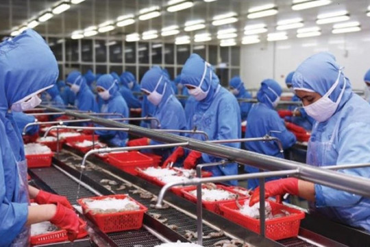 Xuất khẩu thuỷ sản khởi sắc đầu năm