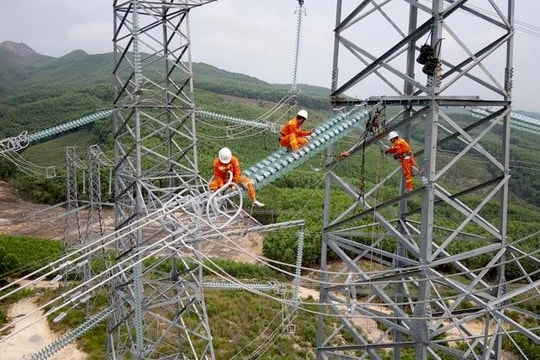 Đề xuất tạm sử dụng rừng để thi công đường dây 500 kV có nguy cơ "lỡ hẹn"