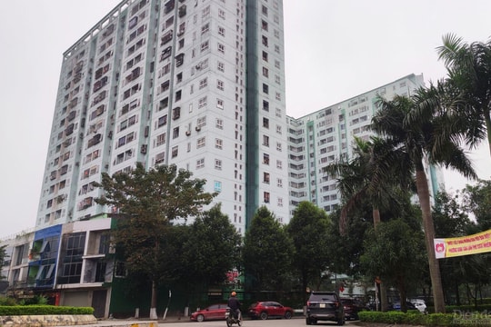 Vụ doanh nghiệp bị “trát” nộp thuế ở Nghệ An: “Trống đánh xuôi, kèn thổi ngược”?