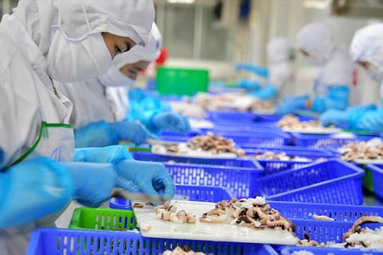 Bộ Tài chính nói gì về kiến nghị hoàn thuế GTGT của doanh nghiệp thuỷ sản?