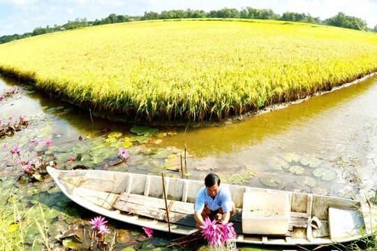 Công bằng cơ hội quyết định công bằng kinh tế