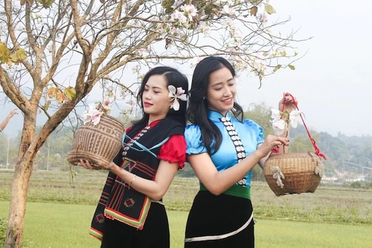 Điện Biên tổ chức Lễ hội Hoa Ban gắn với khai mạc Năm Du lịch Quốc gia