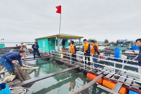 Quảng Ninh: Kiên quyết không để nuôi thủy sản trái phép trên Vịnh Hạ Long