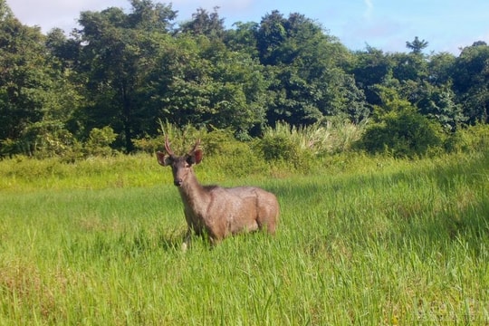 Kon Tum: Thêm địa điểm du lịch sinh thái bền vững