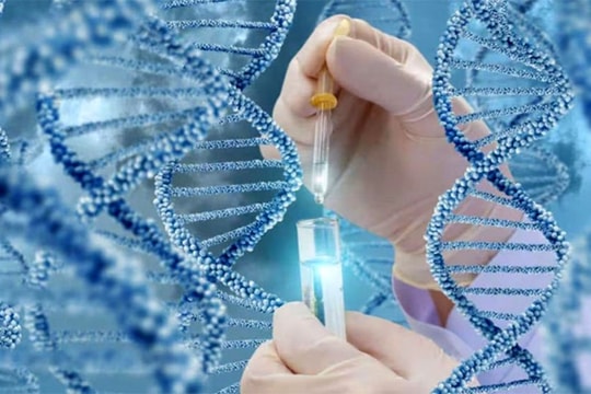 Startup công nghệ y tế tại Việt Nam “hút” vốn từ các quỹ đầu tư mạo hiểm