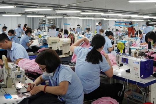 Doanh nghiệp xuất khẩu đẩy mạnh sản xuất, kinh doanh