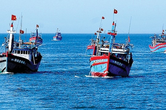 "Chạy đua" với hạn chót gỡ “thẻ vàng” IUU