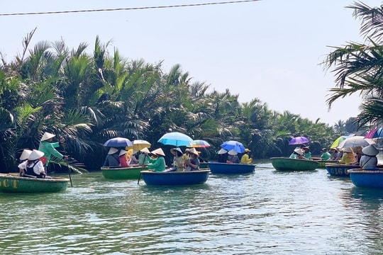 Sớm chấn chỉnh hoạt động du lịch tại rừng dừa Bảy Mẫu Hội An