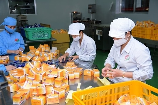 TP.HCM sẽ đầu tư khu công nghiệp y - dược rộng 338ha tại Bình Chánh